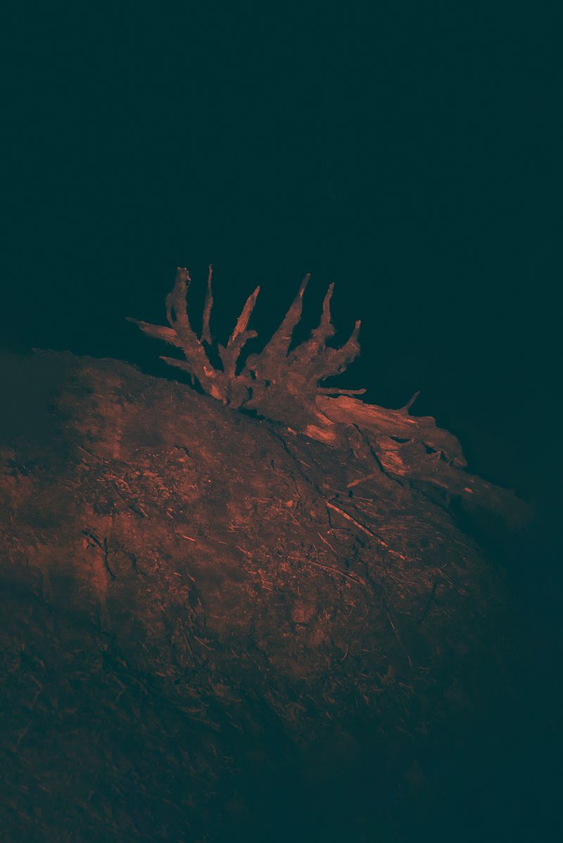 © Anna Biletska - Image from the Between the Lives photography project