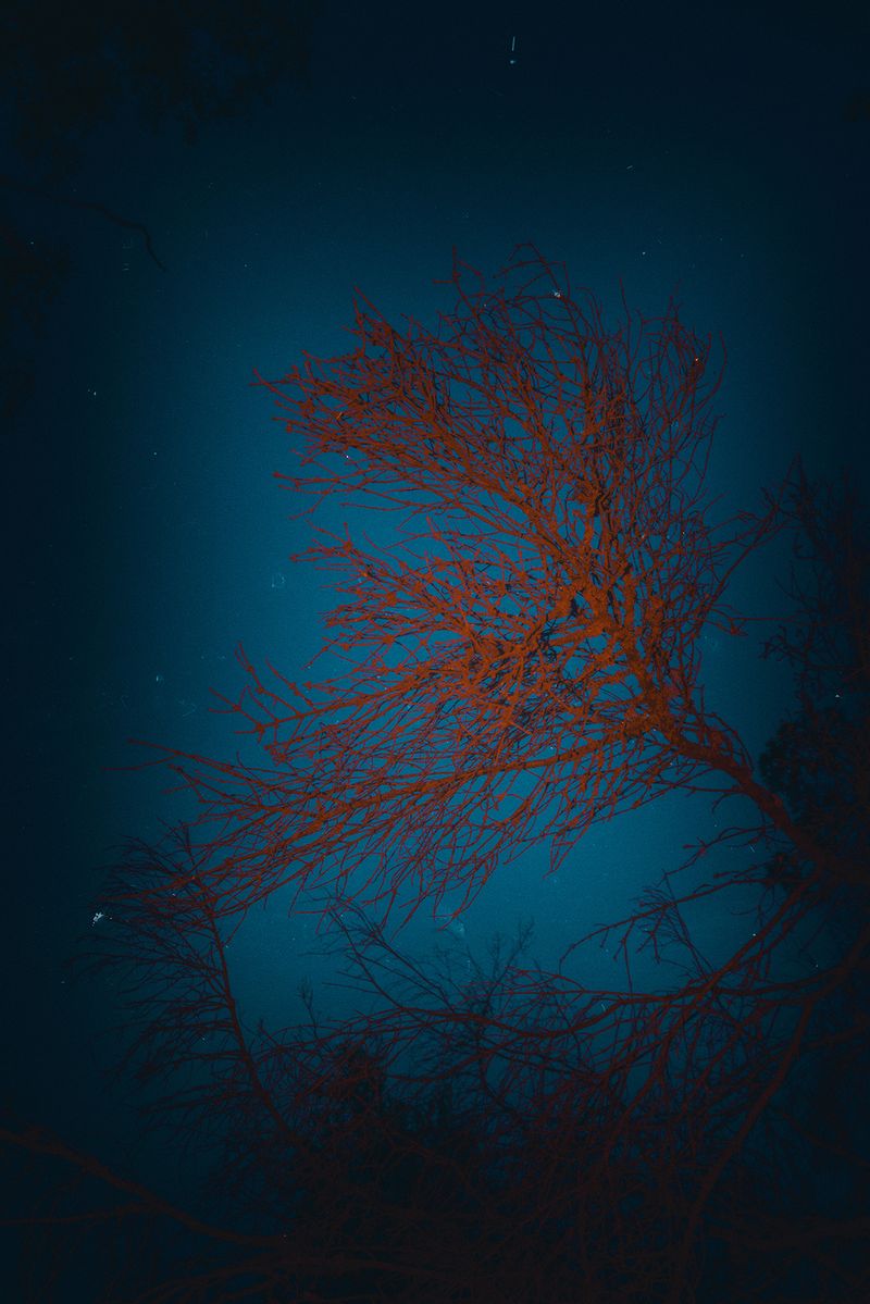 © Anna Biletska - Image from the Between the Lives photography project