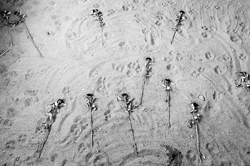 © Dina Oganova - Image from the I Am Gergia photography project