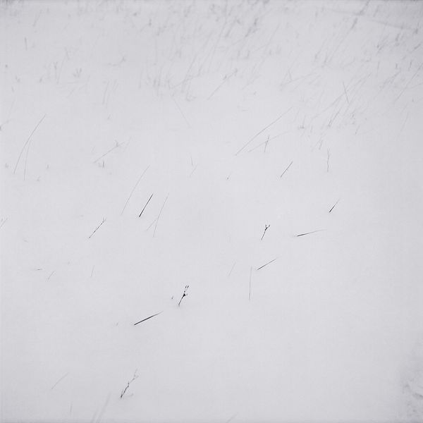 © Svetlana Biryukova - white