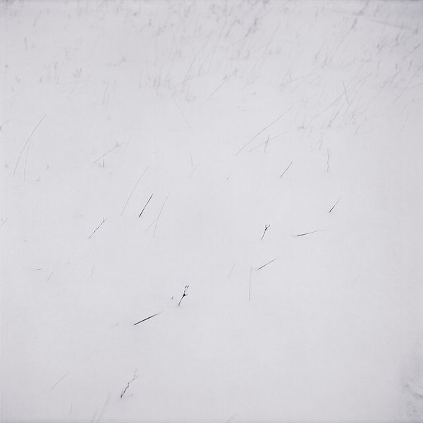 © Svetlana Biryukova - white