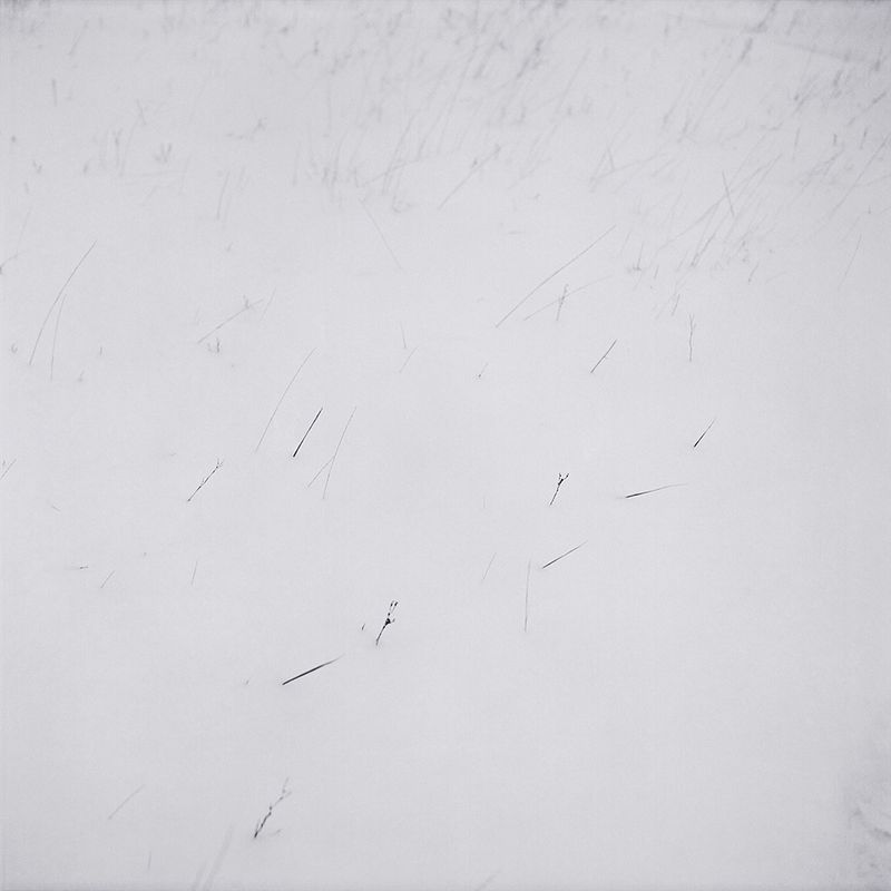 © Svetlana Biryukova - white