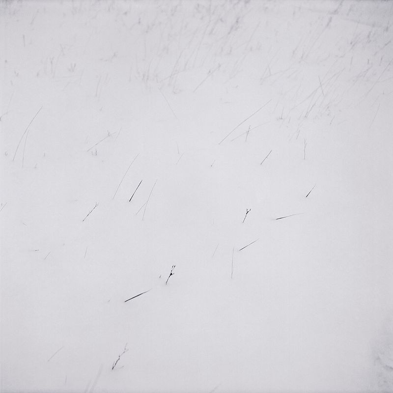 © Svetlana Biryukova - white