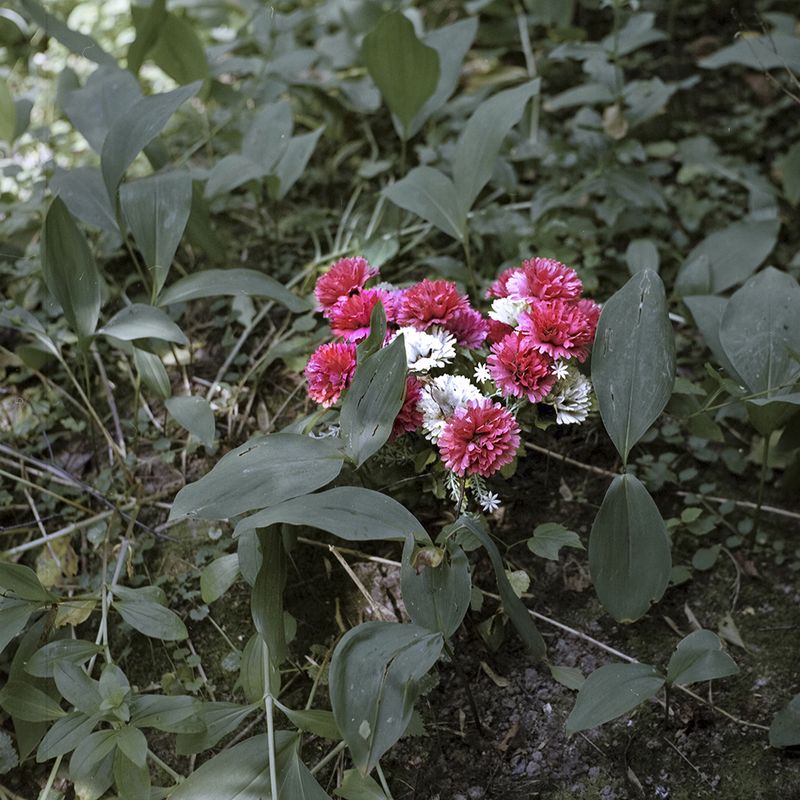 © Svetlana Biryukova - grave / plastic flowers