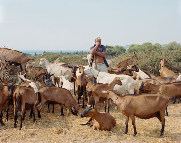 © Murray Ballard - Angelo (with his goats), near Otranto, Salento August 2022