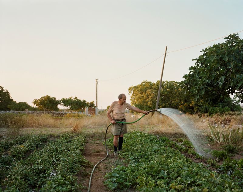 © Murray Ballard - Cerfignano, Salento 2012