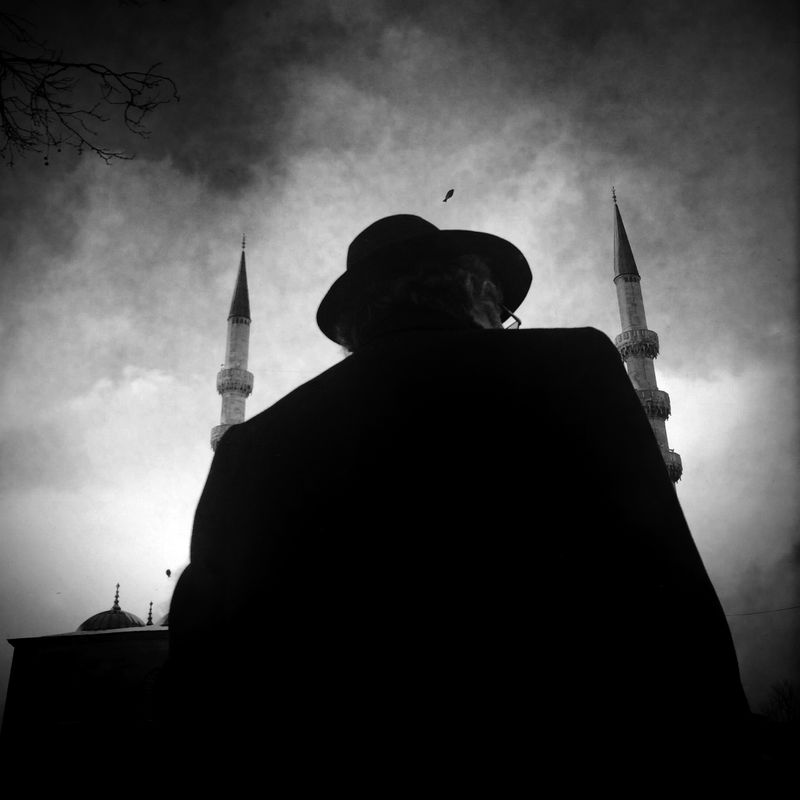 © sevil alkan - Image from the urban anımal photography project