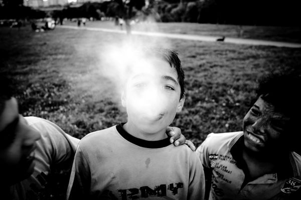 © sevil alkan - Image from the urban anımal photography project
