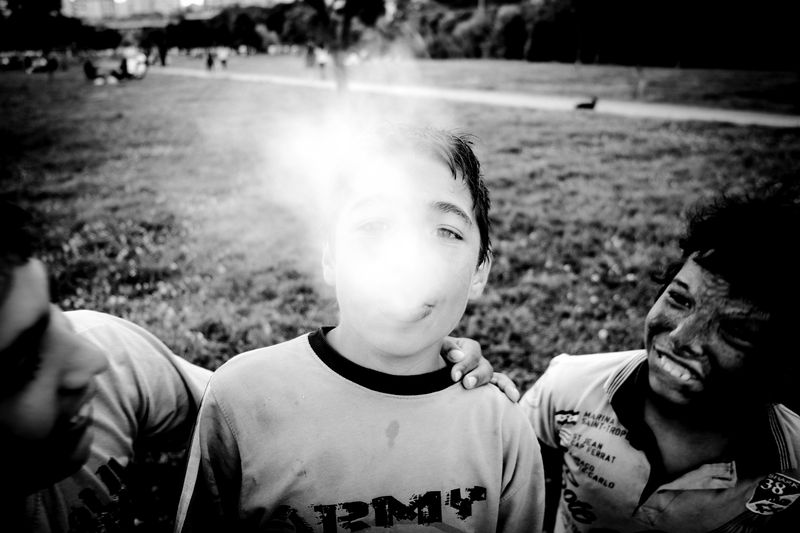 © sevil alkan - Image from the urban anımal photography project