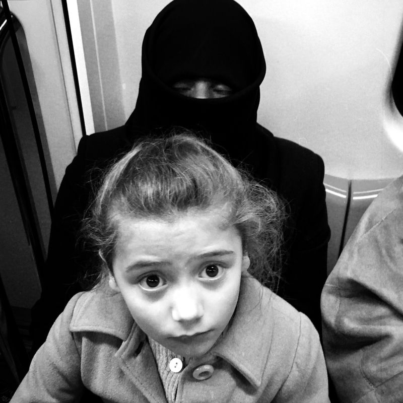 © sevil alkan - Image from the urban anımal photography project