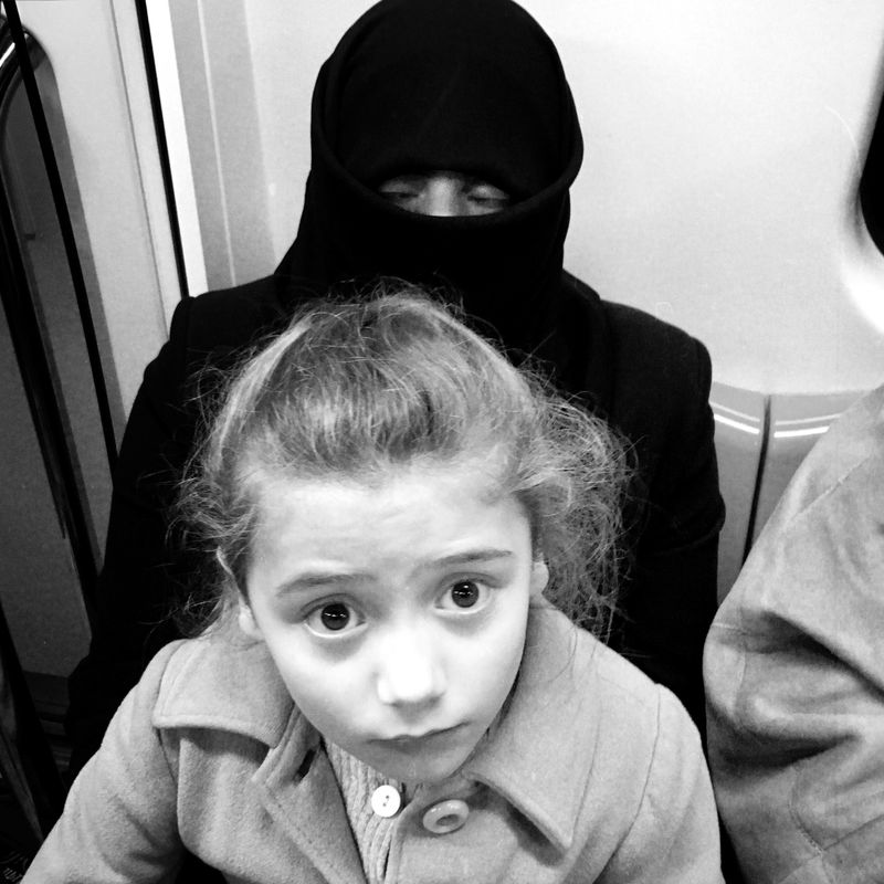 © sevil alkan - Image from the urban anımal photography project