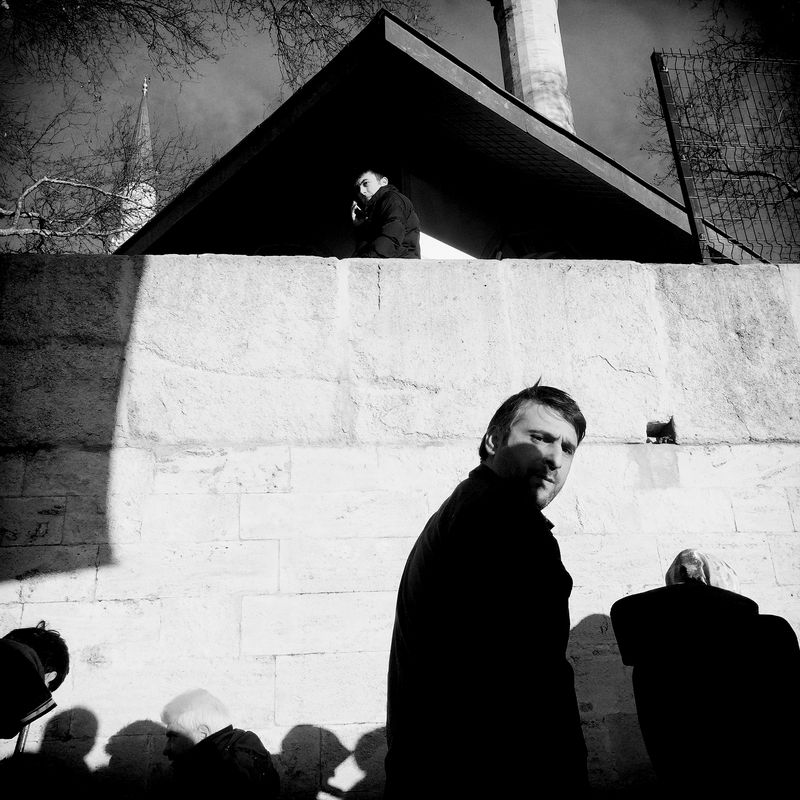 © sevil alkan - Image from the urban anımal photography project