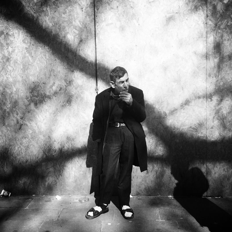 © sevil alkan - Image from the urban anımal photography project