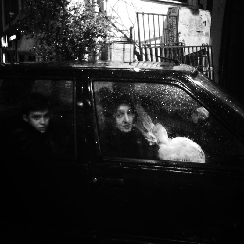 © sevil alkan - Image from the urban anımal photography project
