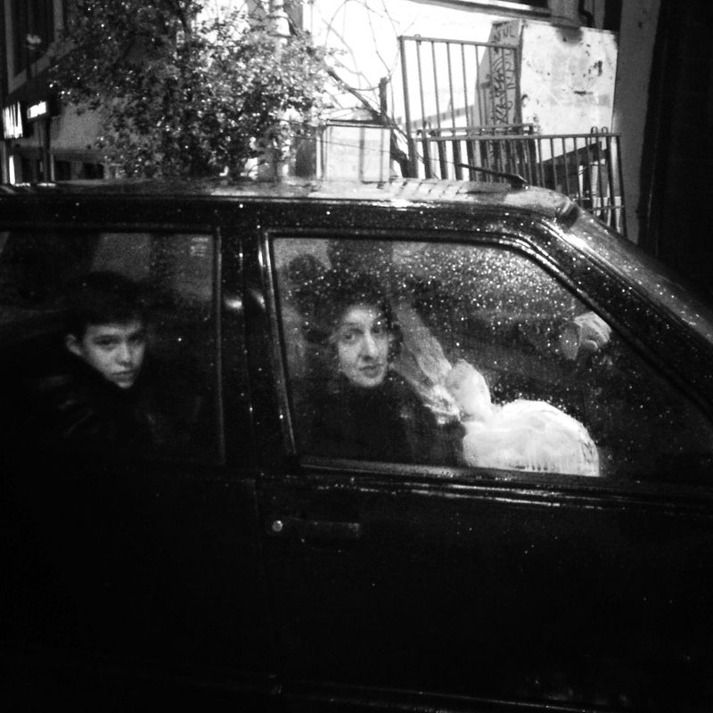 © sevil alkan - Image from the urban anımal photography project