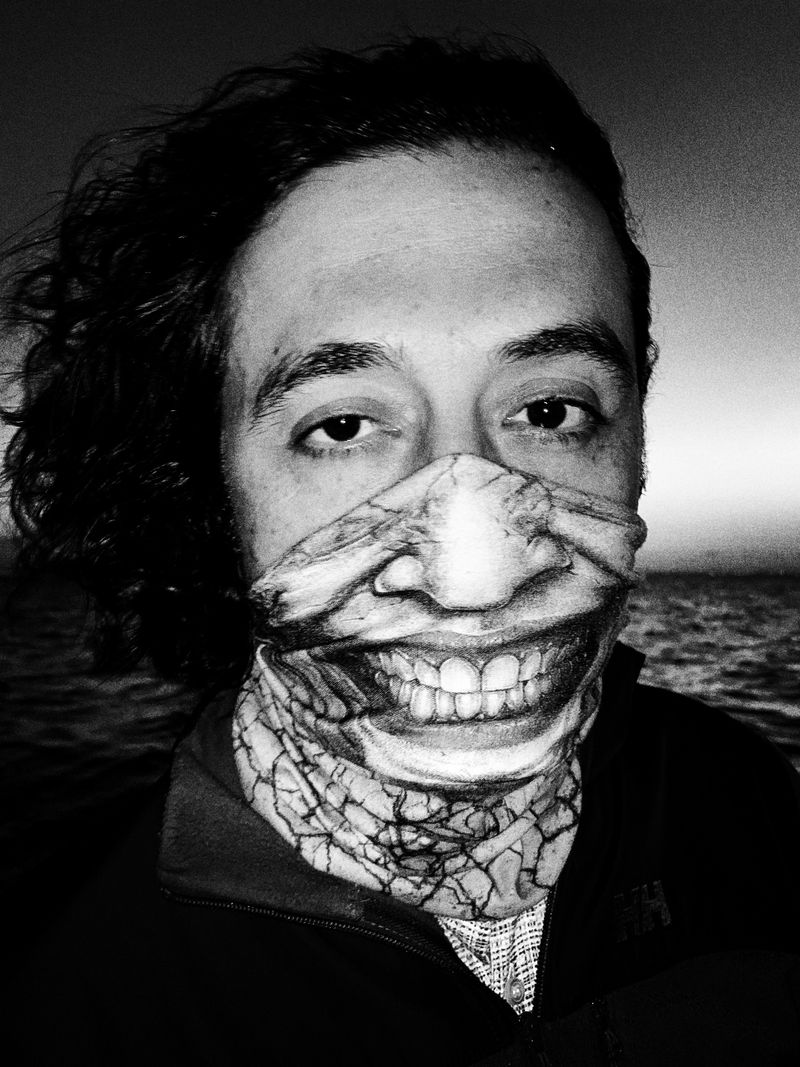 © sevil alkan - Image from the urban anımal photography project
