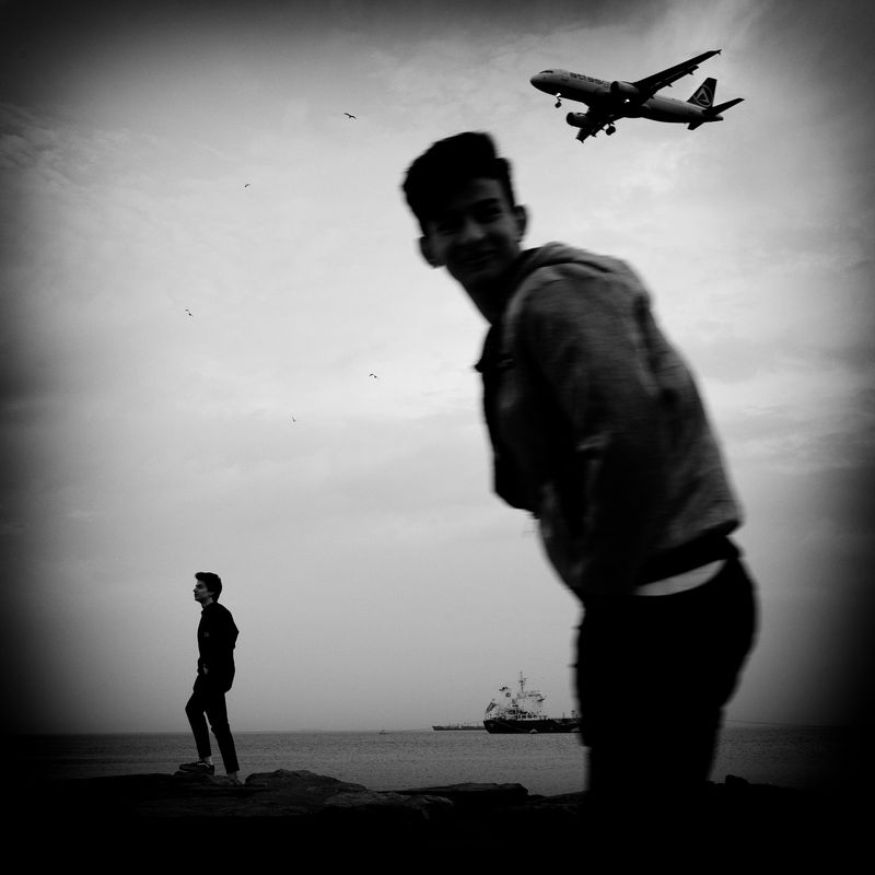 © sevil alkan - Image from the urban anımal photography project