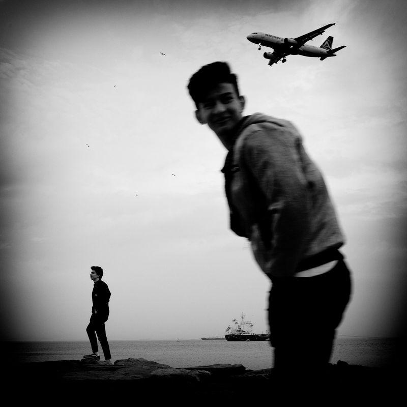 © sevil alkan - Image from the urban anımal photography project