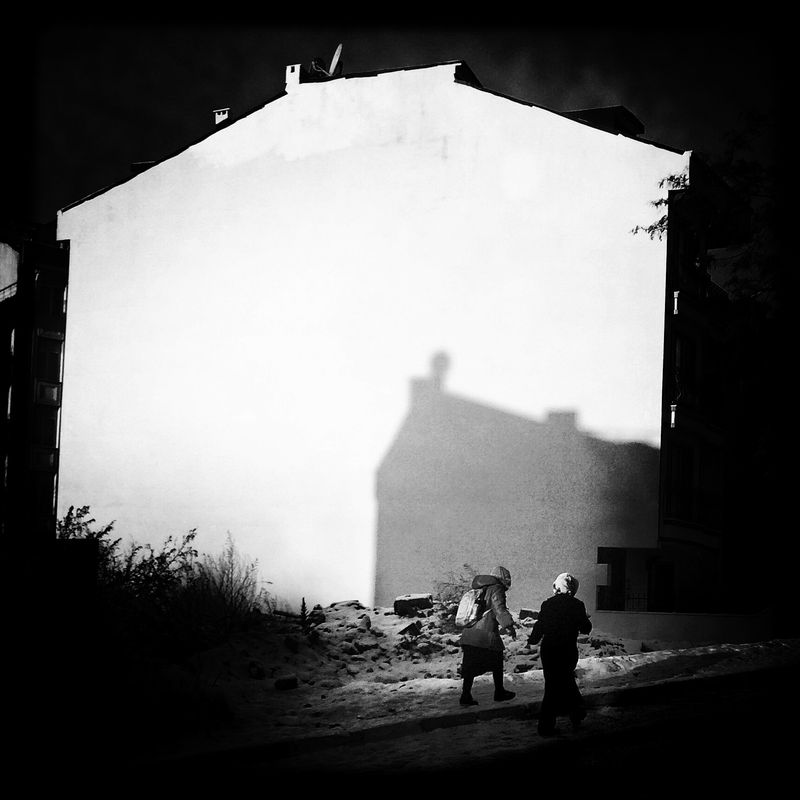 © sevil alkan - Image from the urban anımal photography project