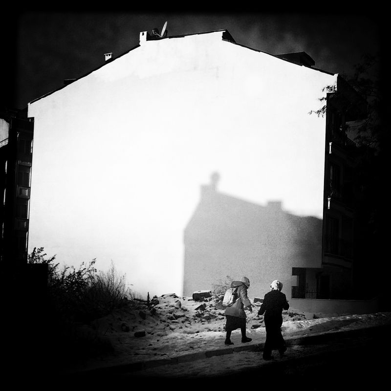 © sevil alkan - Image from the urban anımal photography project