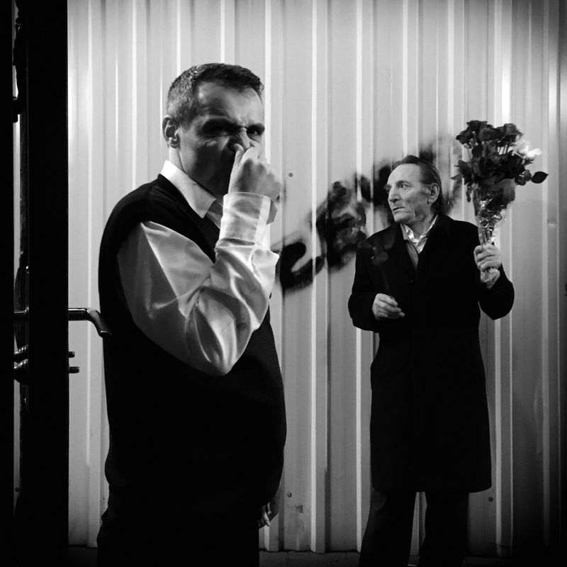 © sevil alkan - Image from the urban anımal photography project