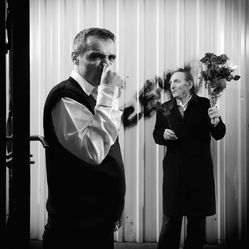 © sevil alkan - Image from the urban anımal photography project