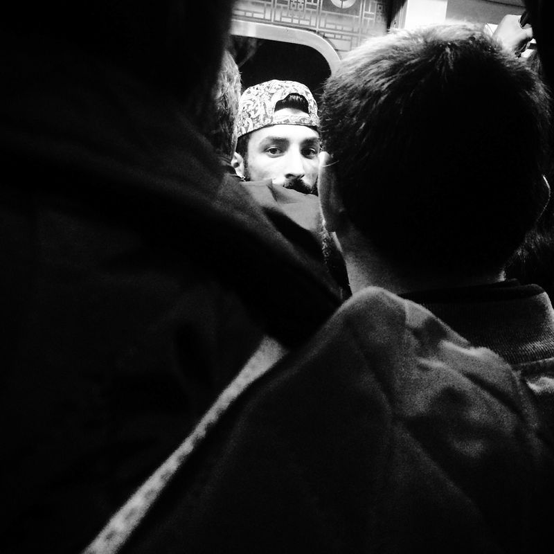 © sevil alkan - Image from the urban anımal photography project