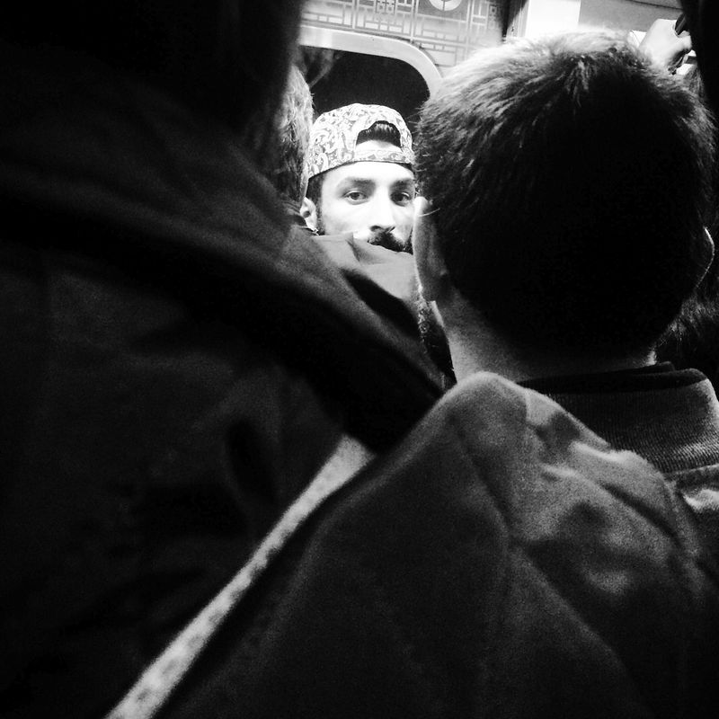 © sevil alkan - Image from the urban anımal photography project