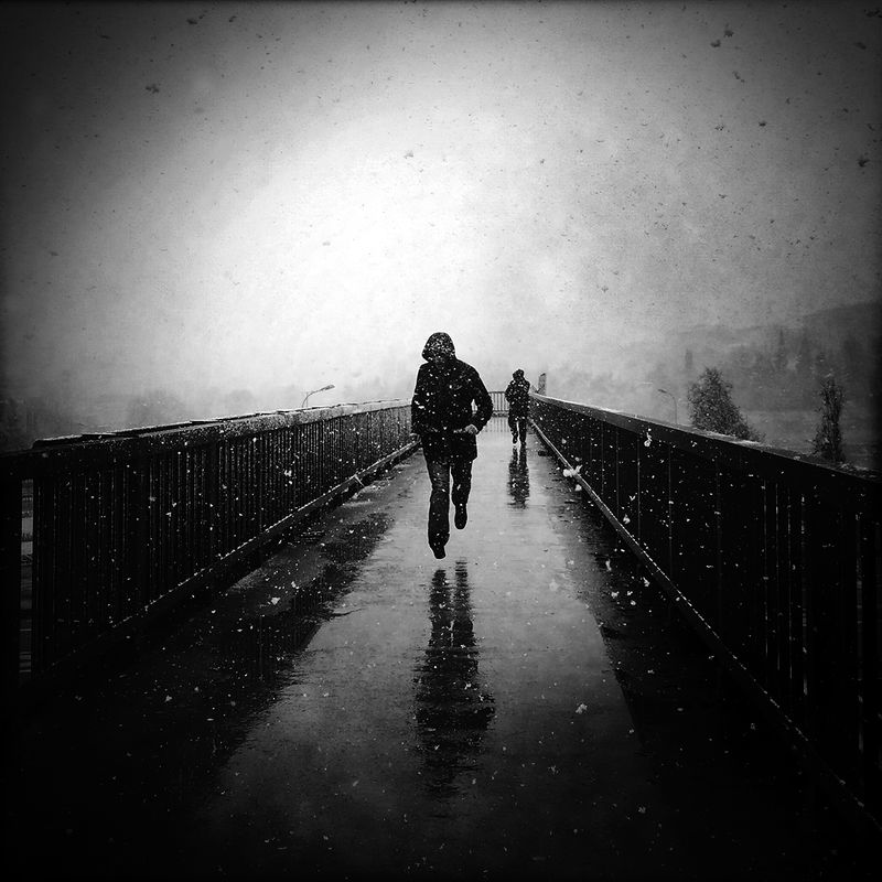 © sevil alkan - Image from the urban anımal photography project