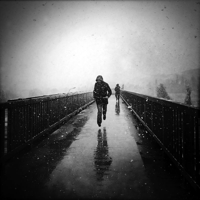 © sevil alkan - Image from the urban anımal photography project