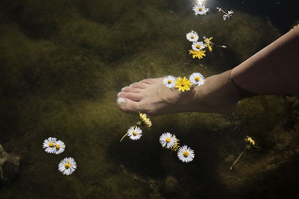 © sevil alkan - Image from the OLIVE TREE photography project