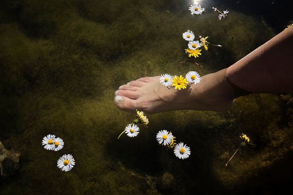 © sevil alkan - Image from the OLIVE TREE photography project