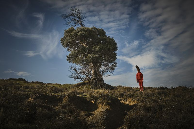 © sevil alkan - Image from the OLIVE TREE photography project