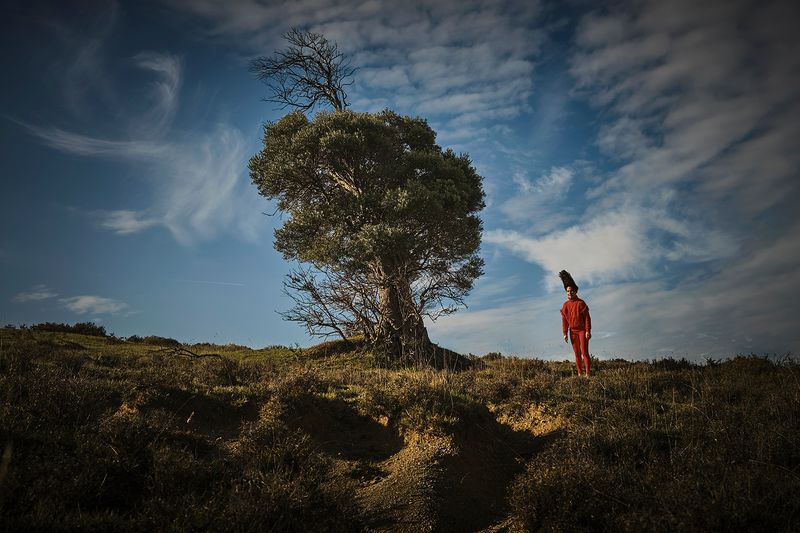 © sevil alkan - Image from the OLIVE TREE photography project