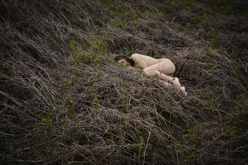© sevil alkan - Image from the OLIVE TREE photography project