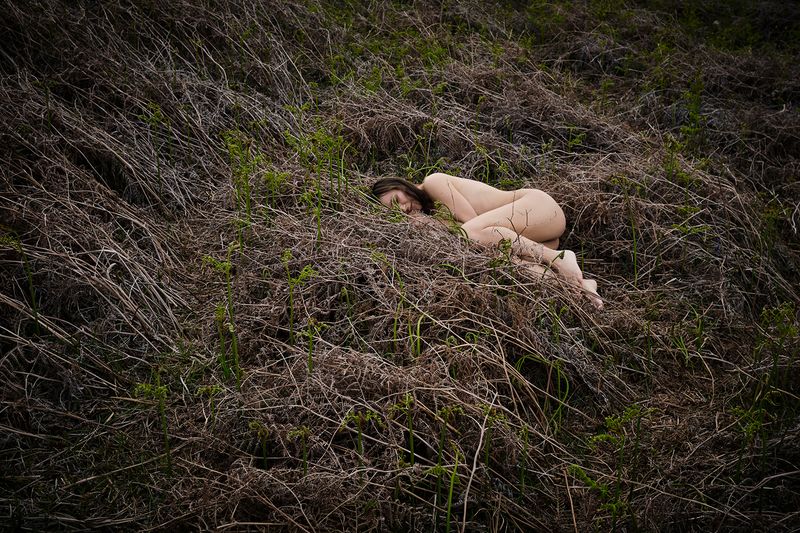 © sevil alkan - Image from the OLIVE TREE photography project