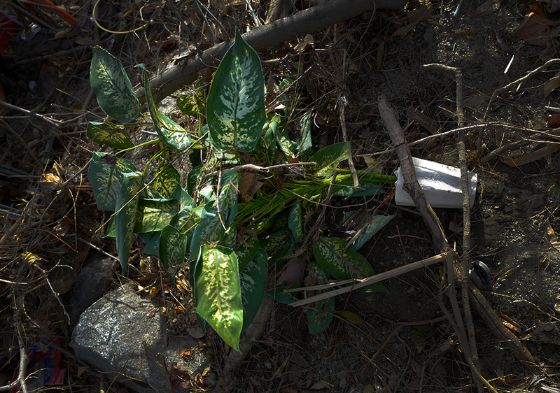 © Marcus Doyle - Image from the LA Stories photography project