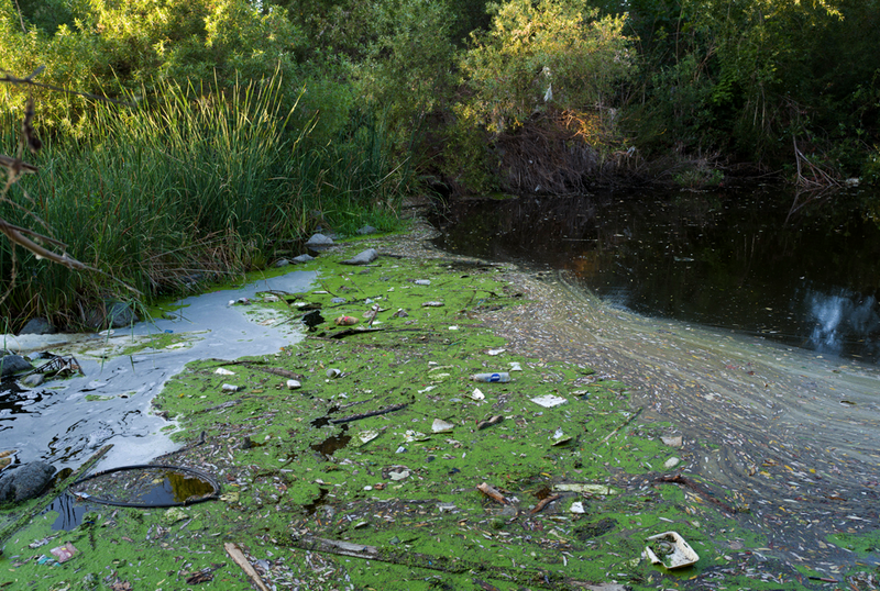 © Marcus Doyle - Image from the LA Stories photography project