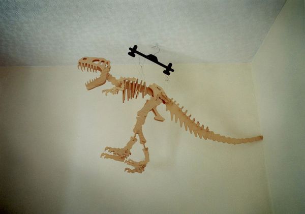 © Marcus Doyle - Wooden Dinosaur model
