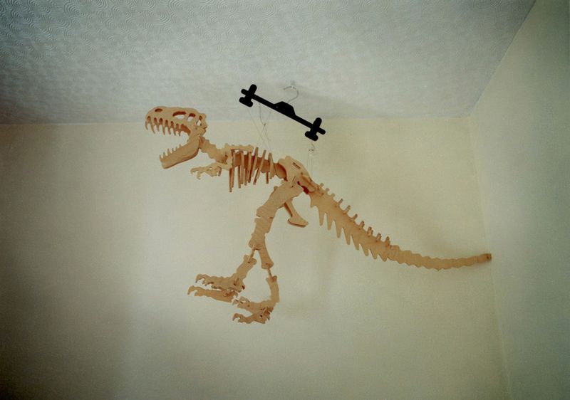 © Marcus Doyle - Wooden Dinosaur model