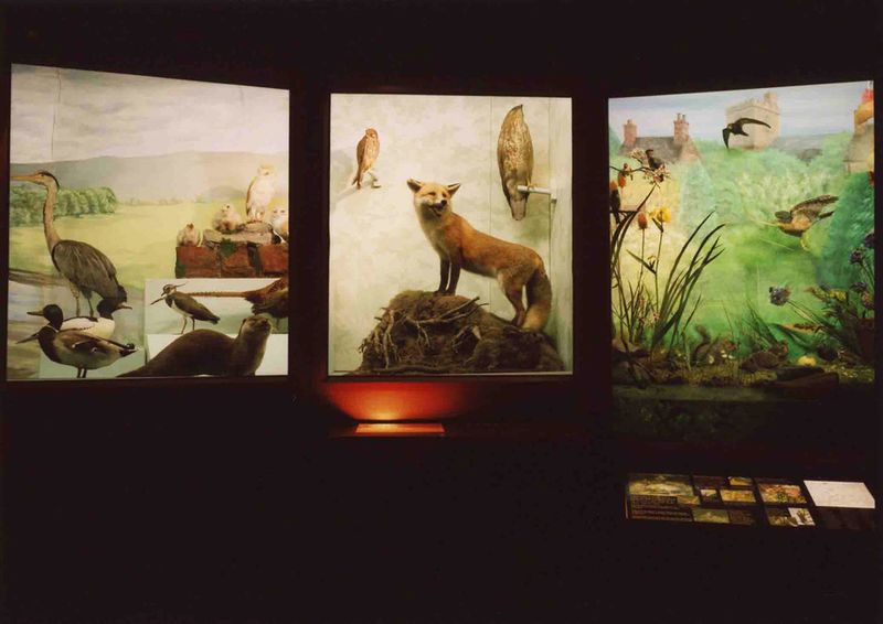 © Marcus Doyle - Museum window