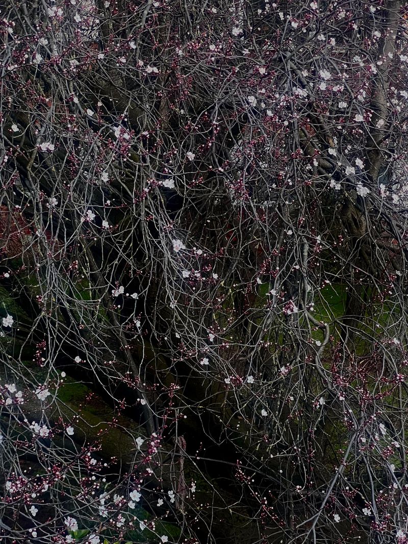 © Evgeniya Strygina - Image from the Where Are You Local? photography project