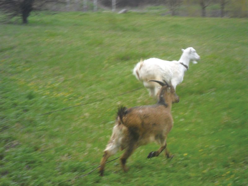 © Evgeniya Strygina - Image from the Home from Home photography project