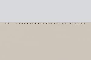 And there was no sky