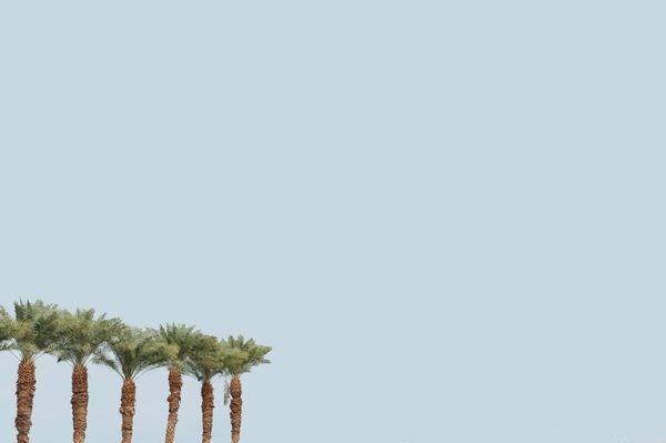 © Evgeniya Strygina - Image from the Photoshopped? photography project