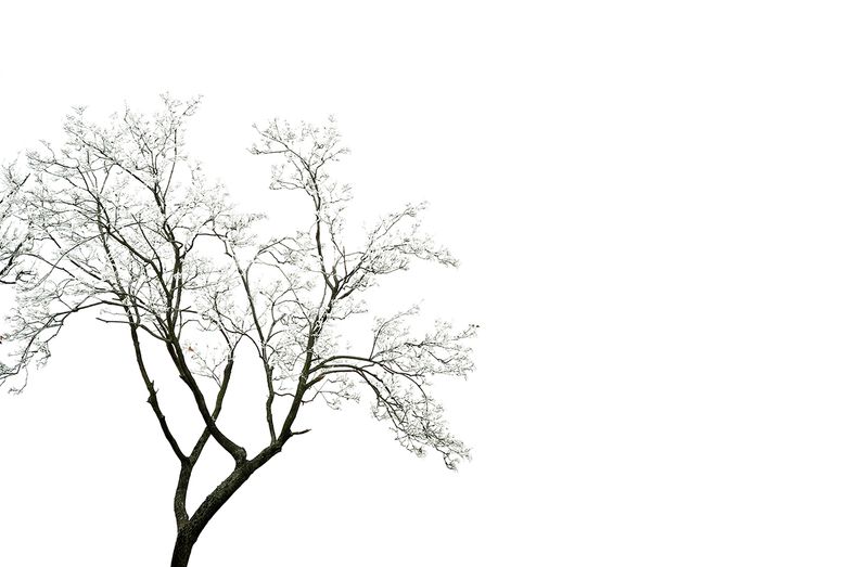 © Evgeniya Strygina - Image from the Photoshopped? photography project