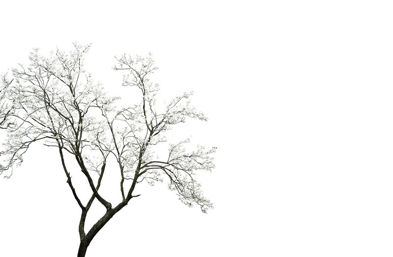 © Evgeniya Strygina - Image from the Photoshopped? photography project