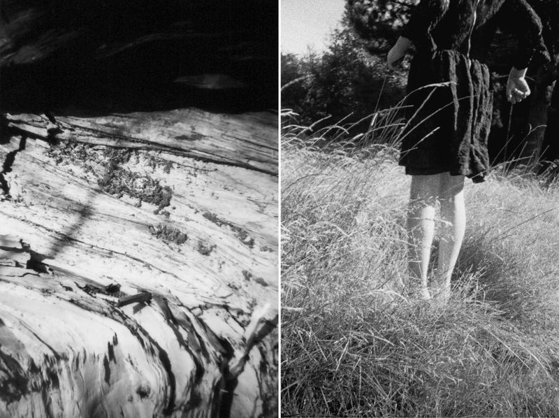 © Carolina Echeverri - Like Purity, Like Gravity. 35mm, Tmax 3200 Doublereflex Blackbird 2020