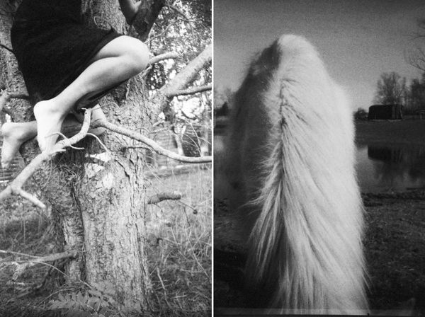 © Carolina Echeverri - Like Purity, Like Gravity. 35mm, Tmax 3200 Doublereflex Blackbird 2020
