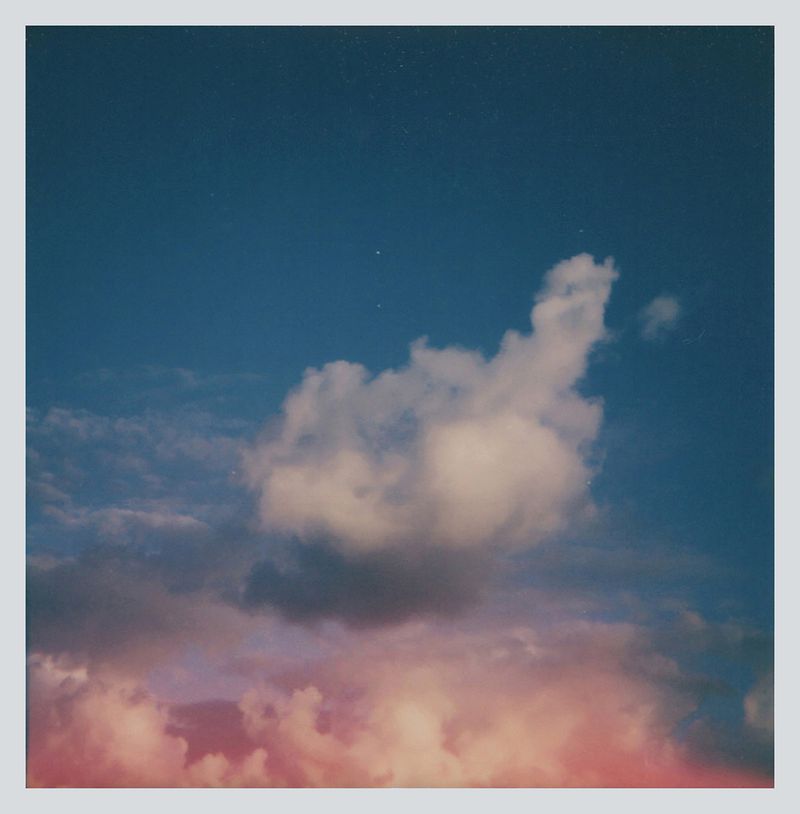 © Carolina Echeverri - "This Is How We Multiply" - Polaroid 600 film